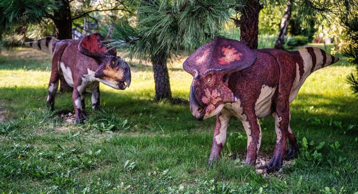 Dinosaures Parc pour une expérience ludique et pédagogique !